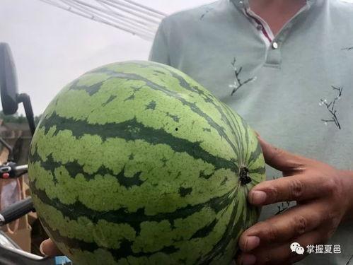 吃瓜现场第一位网红是谁,揭秘第一位网红的诞生之谜