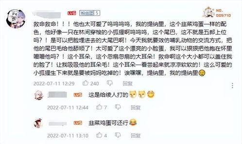 草神外网爆料视频大全最新,揭秘神秘力量与奇幻冒险之旅 第2张 草神外网爆料视频大全最新,揭秘神秘力量与奇幻冒险之旅 第2张