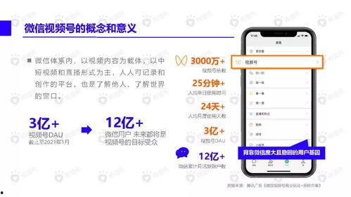 足坛最新爆料视频下载手机版,揭秘赛场幕后风云