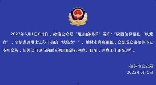 陕西榆林爆料事件视频,视频揭露惊人真相  第2张