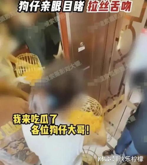 张小寒今日爆料视频大全,揭秘娱乐圈幕后真相