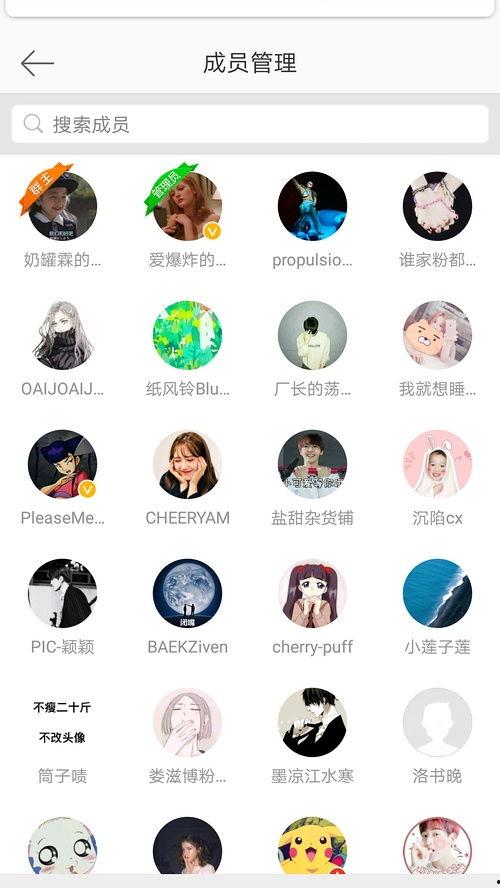 免费吃瓜群qq,畅享娱乐盛宴的神秘之地
