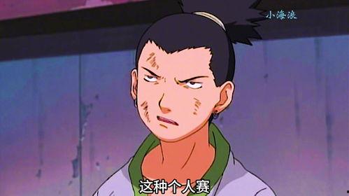 鹿丸小豪爆料视频大全,揭秘娱乐圈幕后真相  第2张