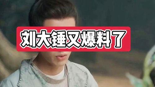 刘大锤爆料王鹤立视频,揭秘背后惊人内幕  第2张 刘大锤爆料王鹤立视频,揭秘背后惊人内幕  第2张