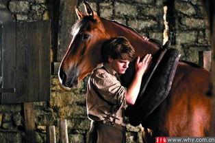 战马1电影在线观看,勇者无畏,战火中的传奇  第3张 战马1电影在线观看,勇者无畏,战火中的传奇  第3张