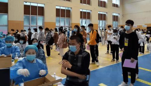 鸿阜园最新爆料信息查询,揭秘项目神秘面纱，品质生活即将绽放  第2张